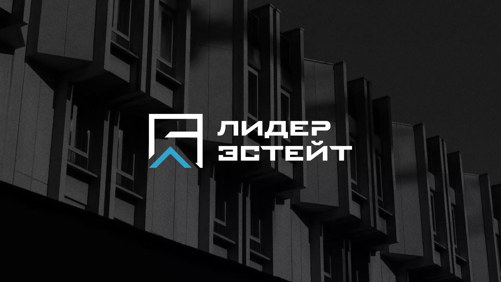 Разработка логотипа агентства недвижимости «Лидер Эстейт» в Брянске